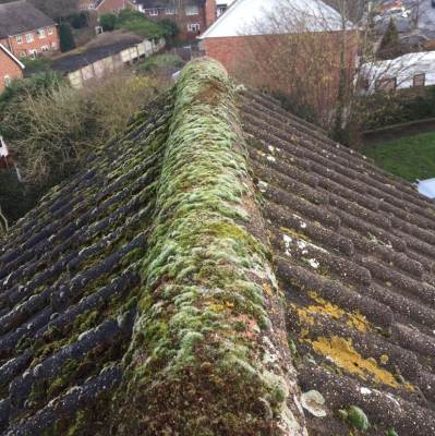 roofing company
