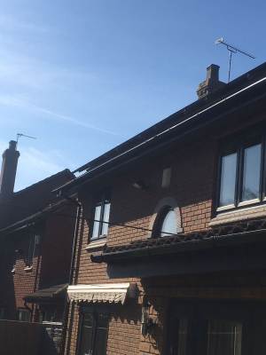 specialist roofers