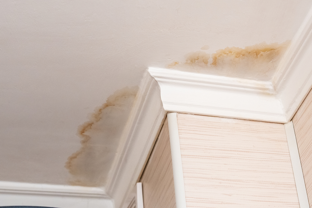 expert roof repairs